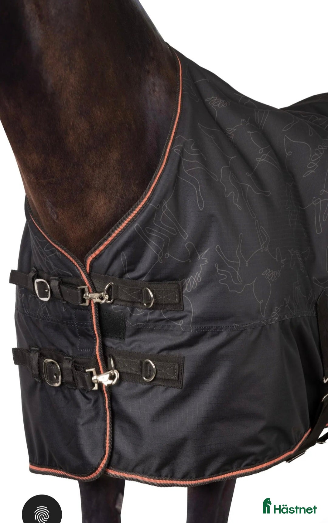 Täcken hästutrustning till salu: Pegasus täcke stl 105. 200gram i Falköping - Annons 2