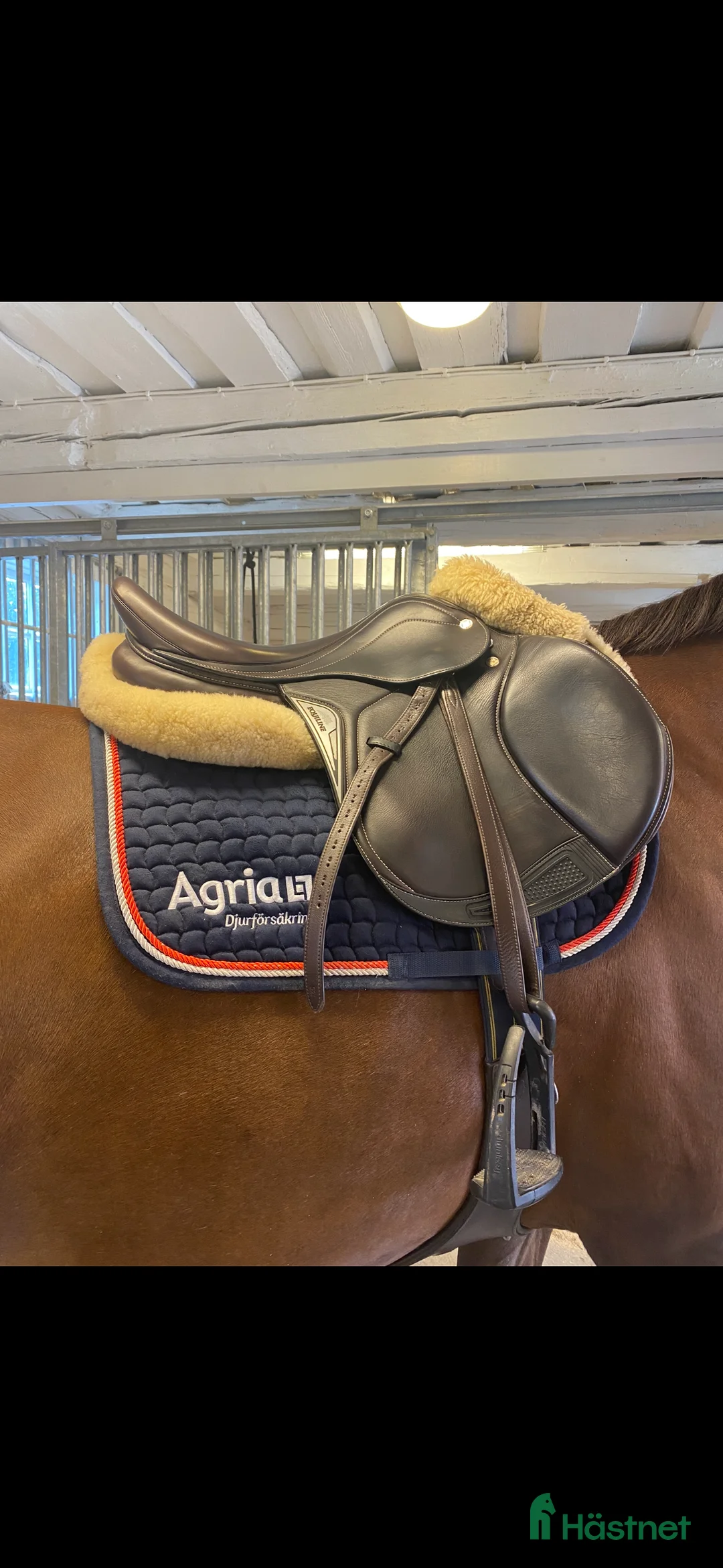 Sadlar hästutrustning till salu: Equiline 17’ - Annons 2