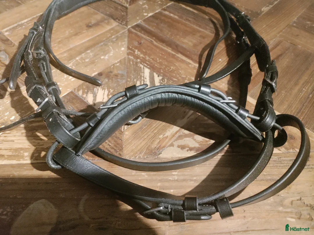 Träns hästutrustning till salu: Hackamore träns strl. Full i Visby - Annons 2