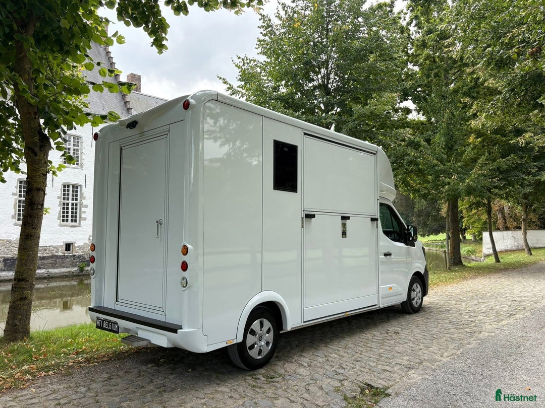 Hästlastbilar  fordon & transport till salu: Lehel 2 hästars classic  i Teckomatorp - Annons 5