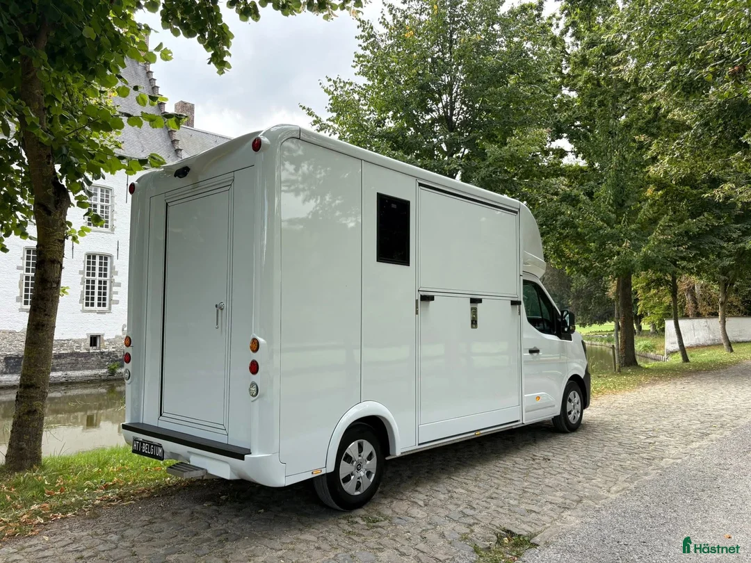 Hästlastbilar  fordon & transport till salu: Lehel 2 hästars classic  i Teckomatorp - Annons 5