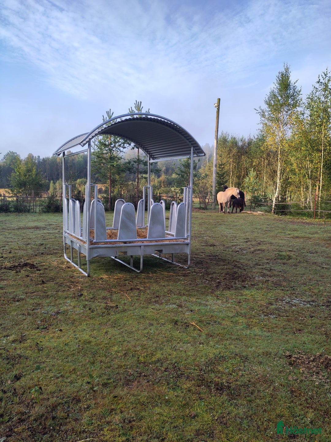  stallplats finnes: Två lediga stallplatser i kollektivstall, Karlstad i Karlstad - Annons 3