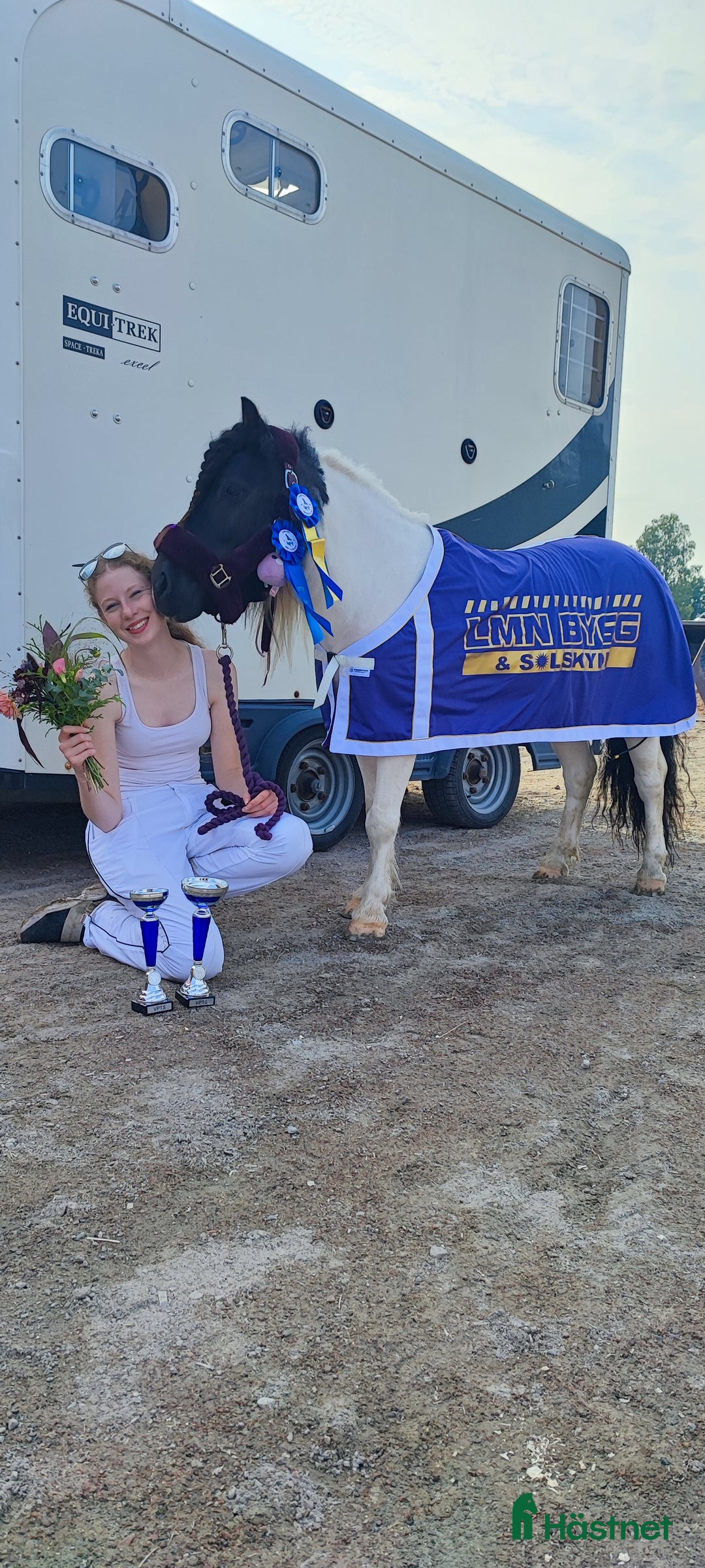 Trav hästar till salu: Fin ponnytravare som syns i mängden  i Falun - Annons 5