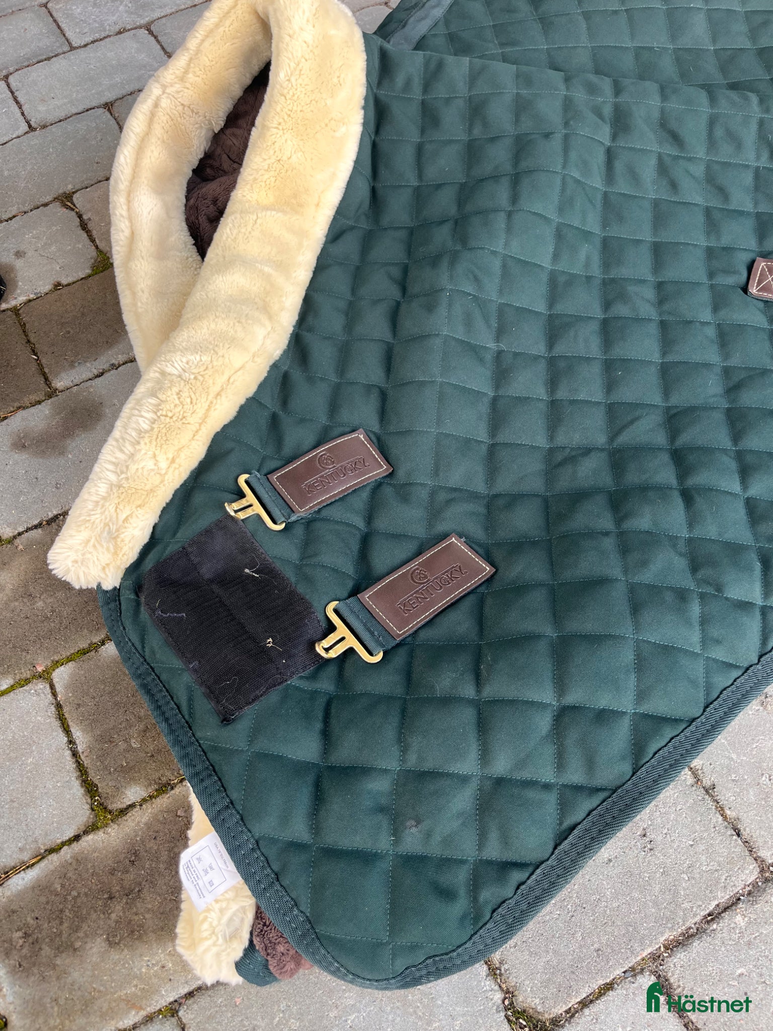 Täcken hästutrustning Kentucky Showrug 145 cm - Annons 1