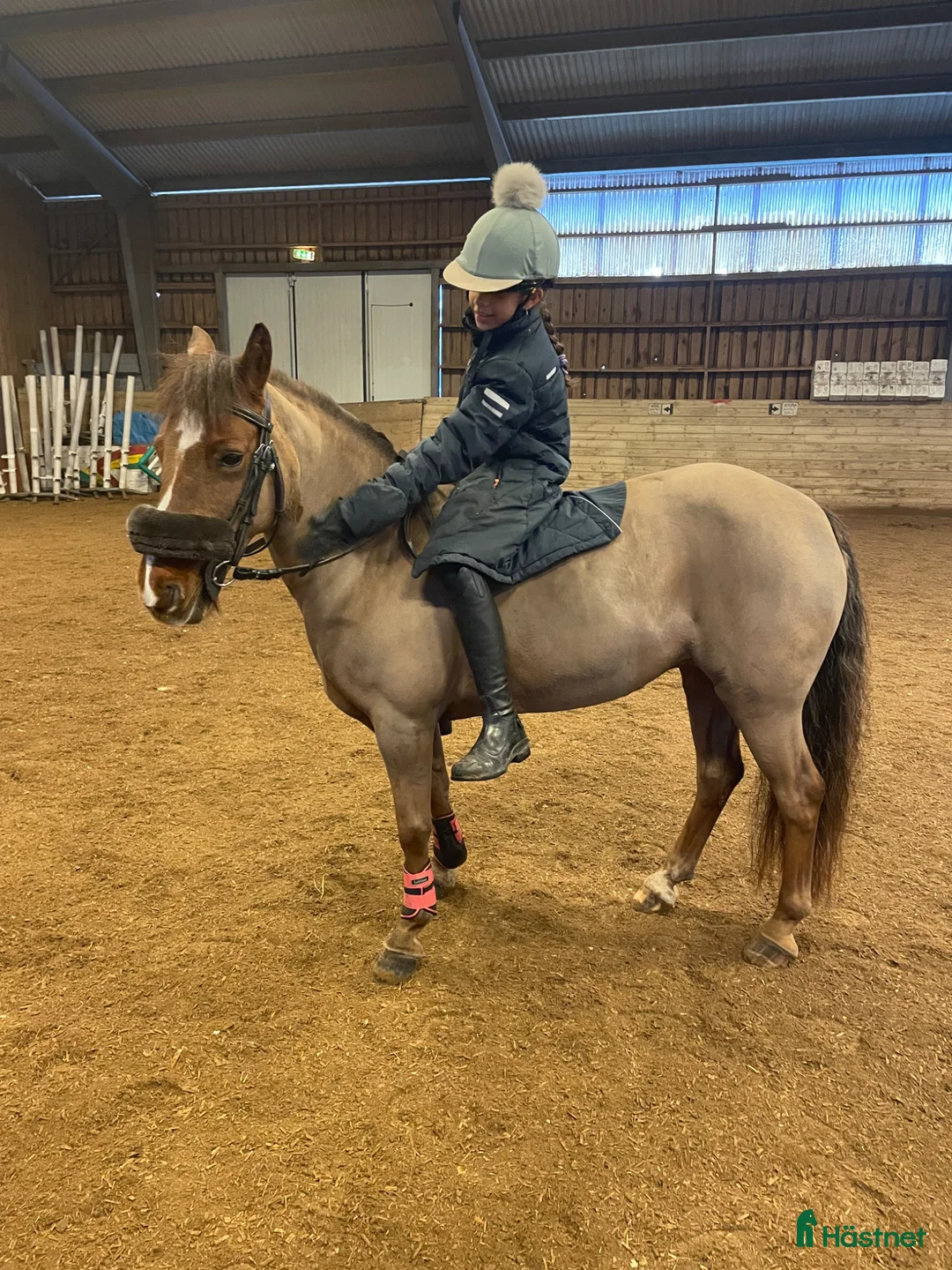 Hoppning hästar sökes: Söker D-ponny  - Annons 1