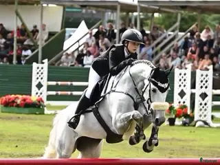 hästar Underbart sto - Annons 3