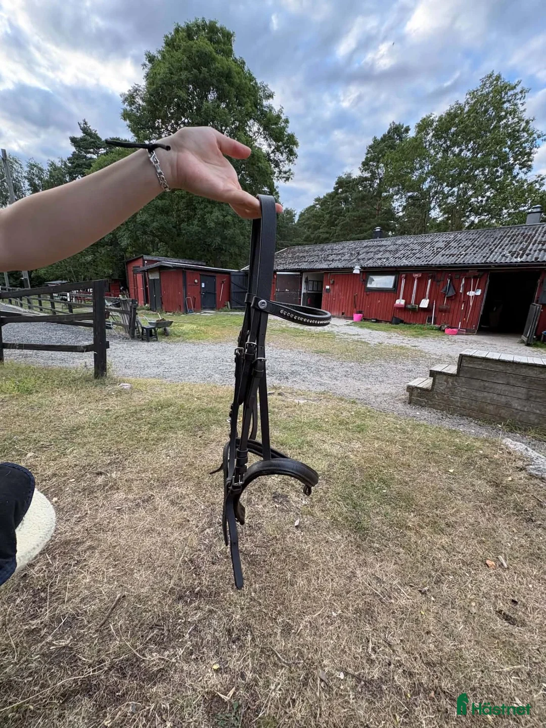 Träns hästutrustning till salu: Fairfield träns - Annons 3