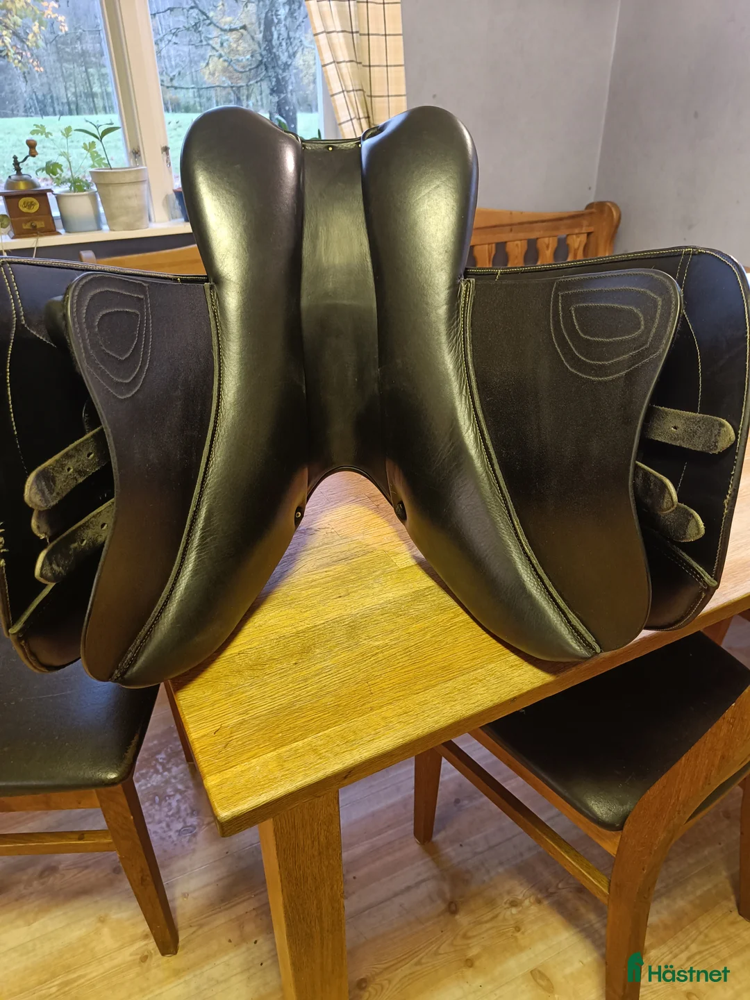 Sadlar hästutrustning till salu: Lippo Allegria super  i Bullaren - Annons 2