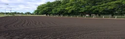  stallplats finnes: Stallplats/lösdrift mellan Malmö/Lund  - Annons 2
