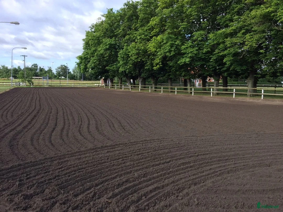  stallplats finnes: Stallplats/lösdrift mellan Malmö/Lund  - Annons 2