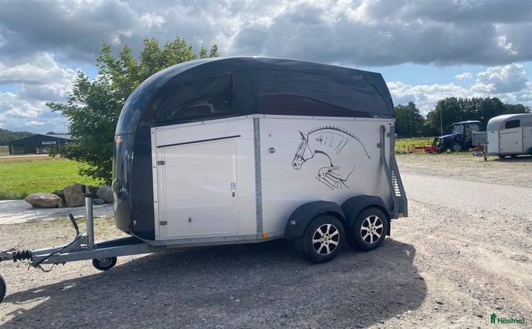 Hästtransporter  fordon & transport till salu i Ytterby - Annons 9