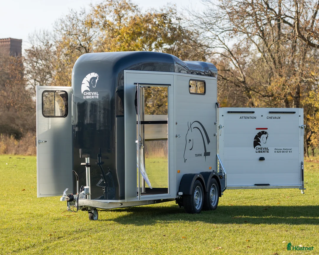 Hästtransporter  fordon & transport till salu: Hästtransporten med dubbla skötardörrar - Annons 6