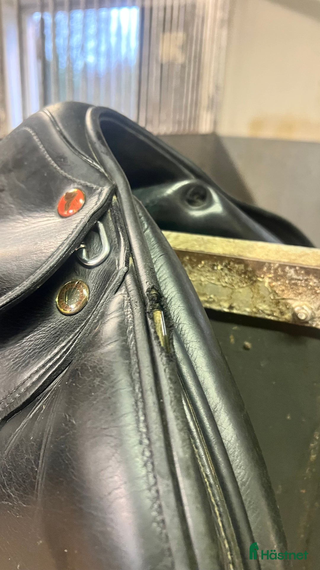 Sadlar hästutrustning till salu: Prestige Paris 18” 35 i Skövde - Annons 8