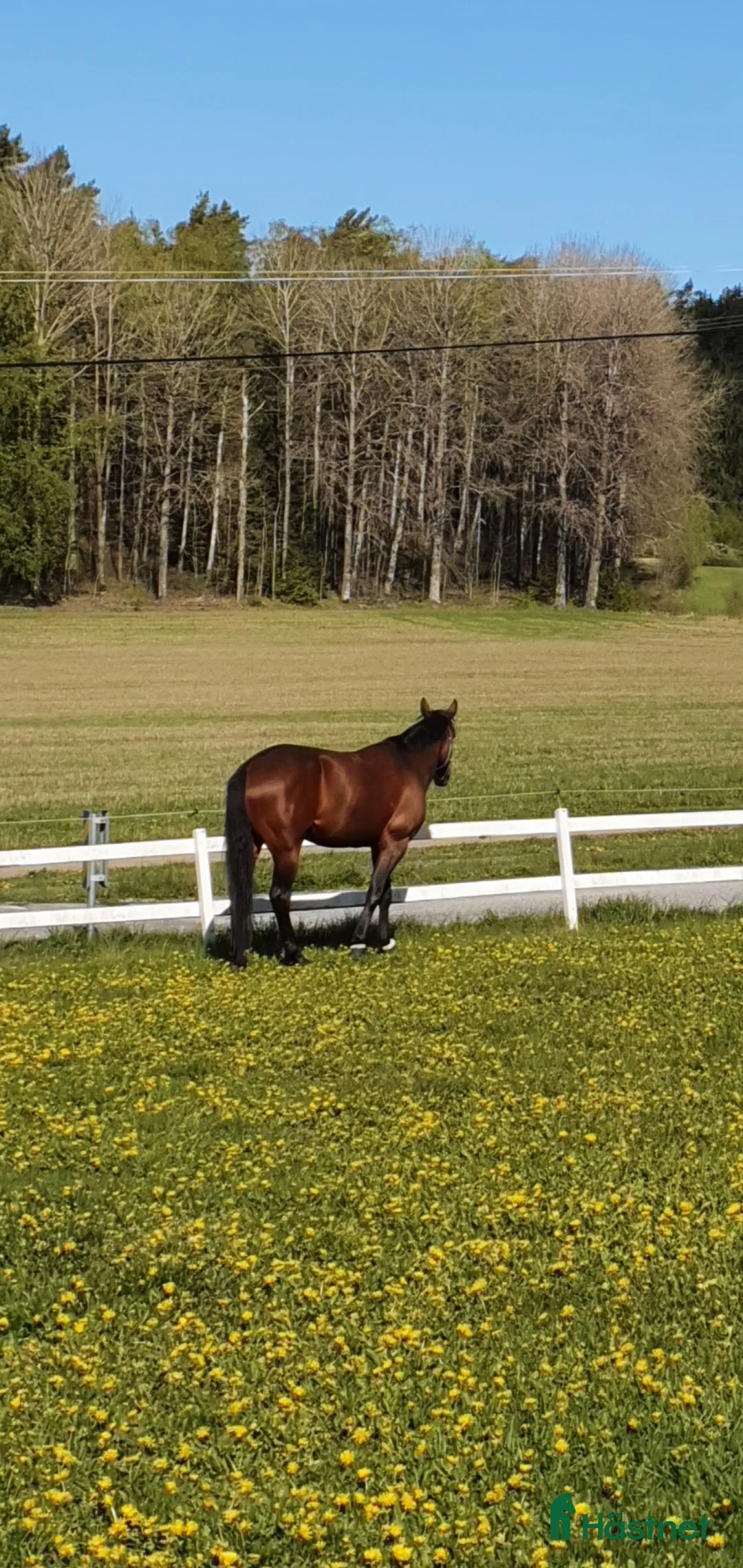 stallplats finnes: Stallplats Snyggboda i Kungsängen - Annons 2