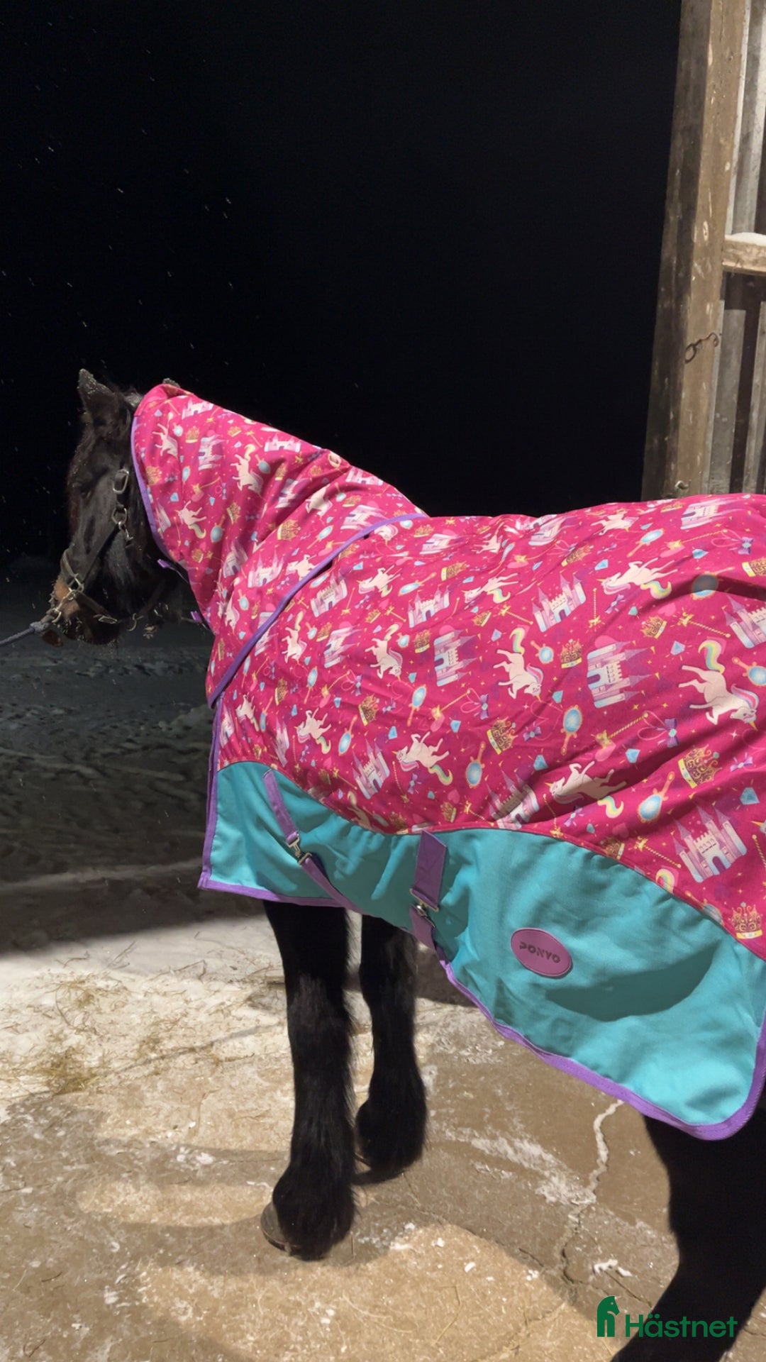 Täcken hästutrustning till salu: Nytt täcke  i Umeå - Annons 2