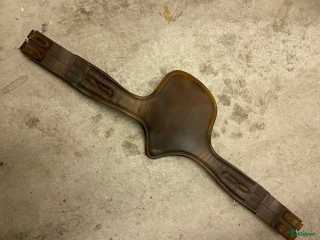 Sadeltillbehör hästutrustning till salu: Hoppgjord med magplatta 110 cm - Annons 2