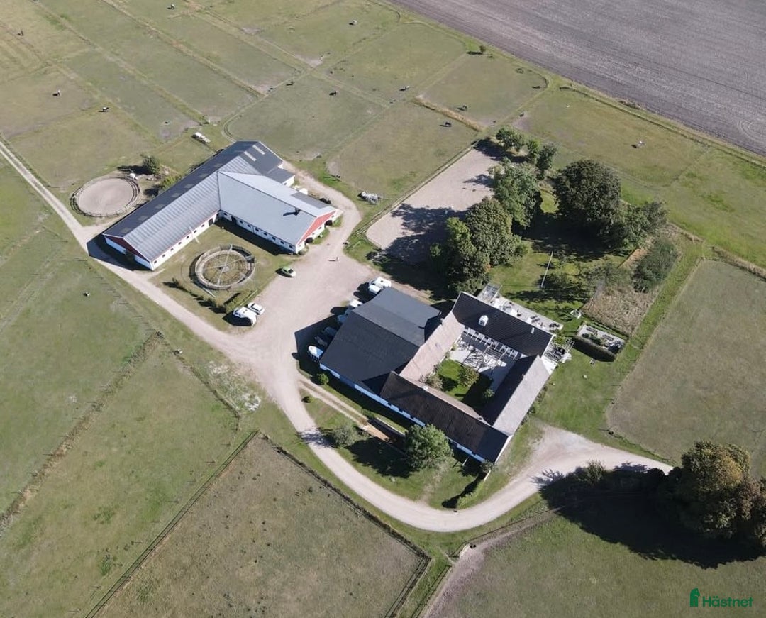  hästservice finnes: Inridning, utbildning, träning, försäljning i Vellinge - Annons 1