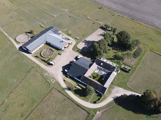 hästservice Inridning, utbildning, träning, försäljning i Vellinge - Annons 17