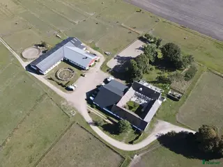 hästservice finnes: Inridning, utbildning, träning, försäljning i Vellinge - Annons 2