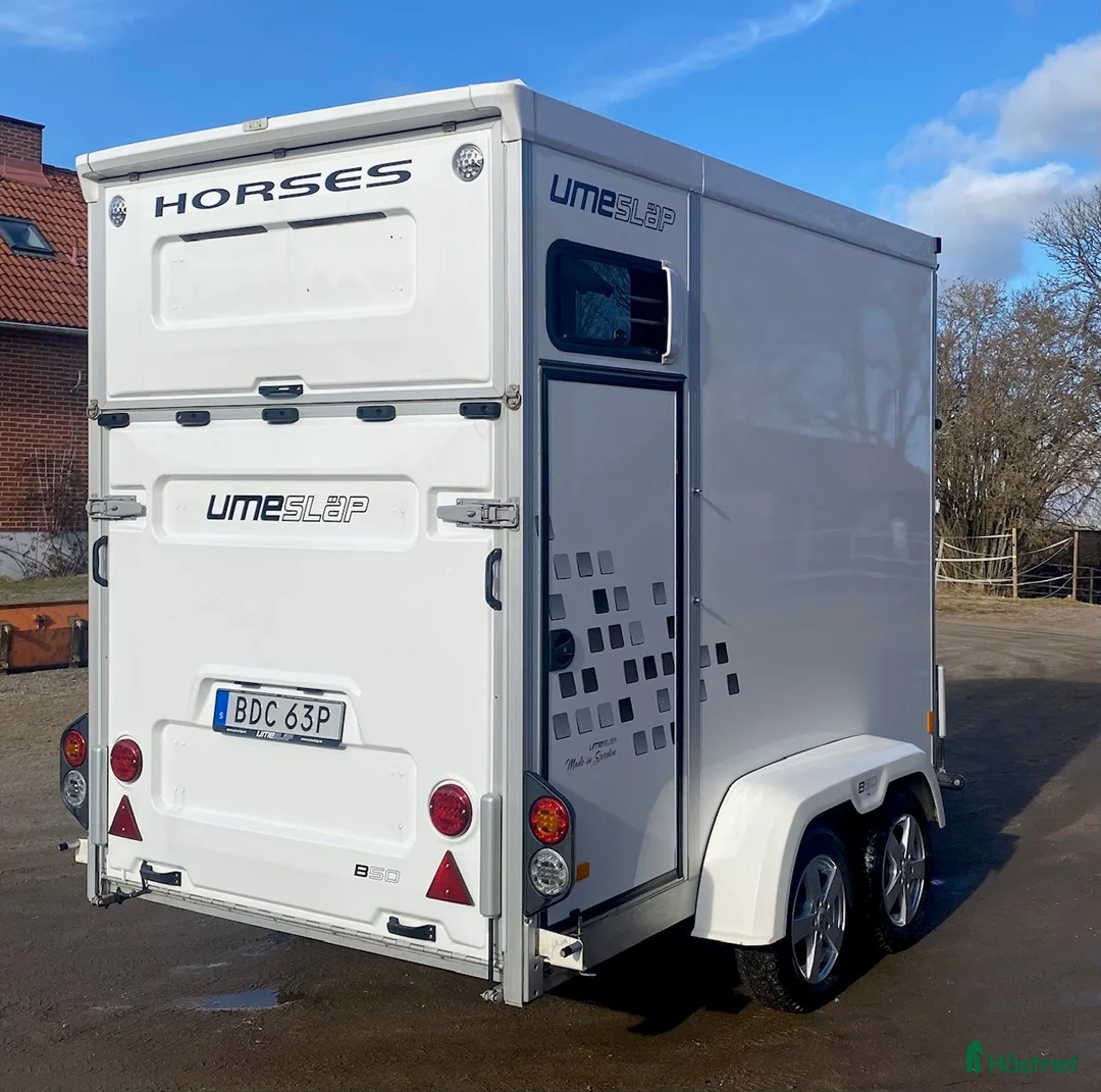 Hästtransporter  fordon & transport till salu: Ume B50 Stuteri - Annons 2
