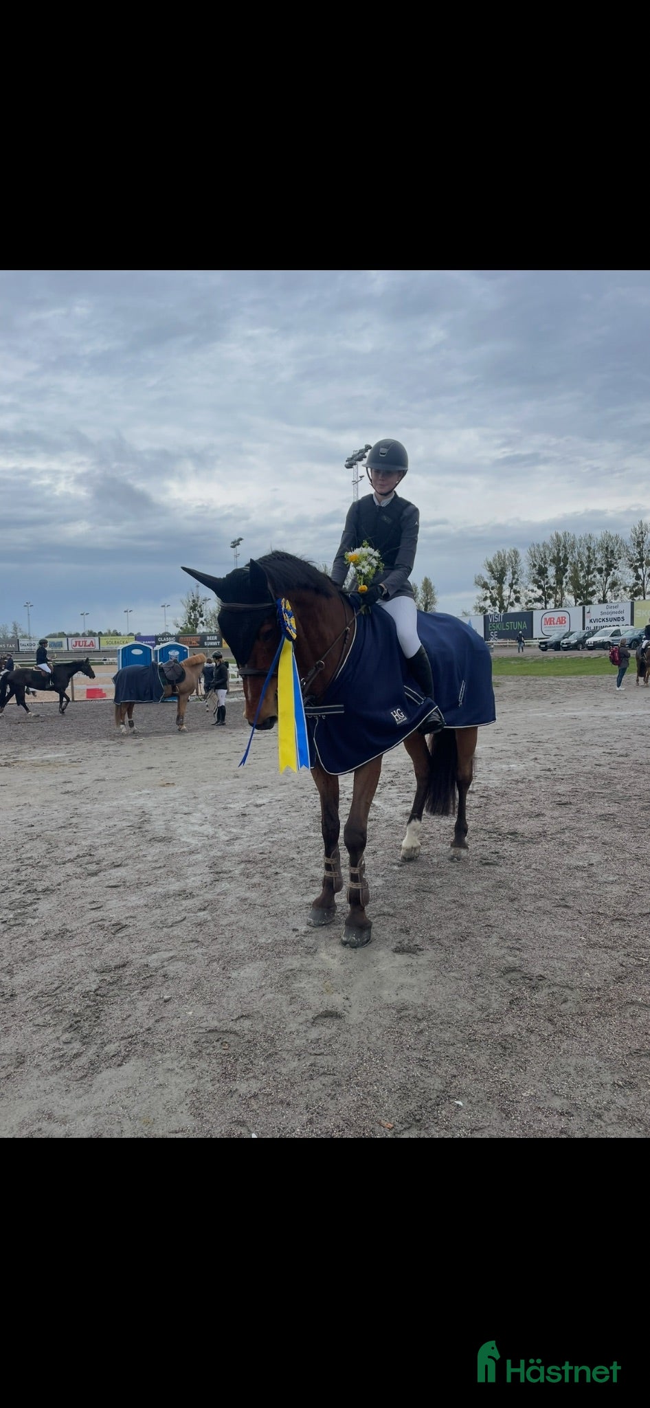 Hoppning hästar sökes: Söker tävlingshäst⭐️ - Annons 1