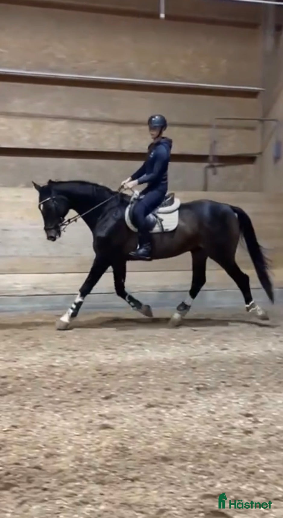  hästservice Sommarbete/träning/tävling mm - Annons 4