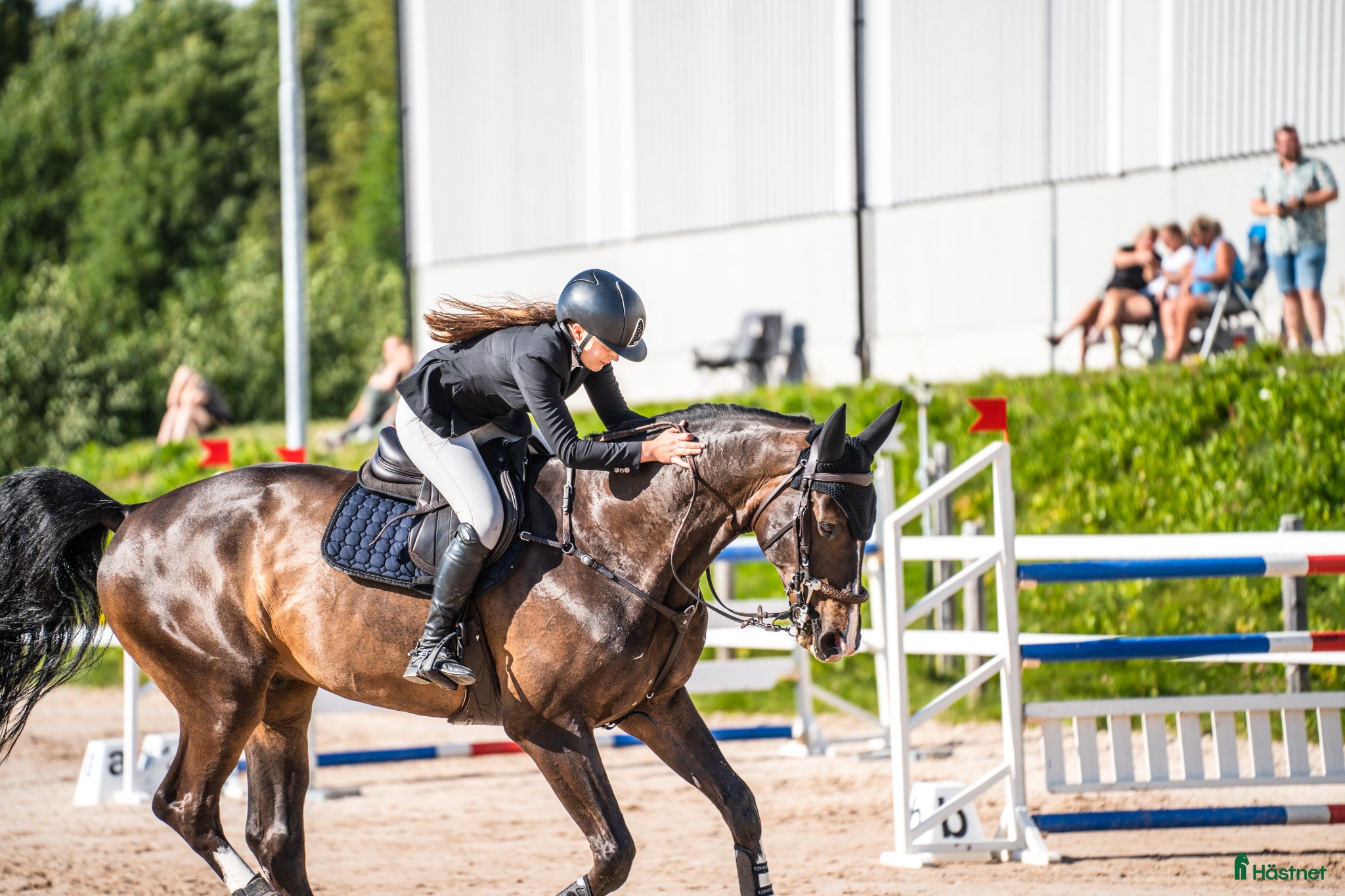  hästar Rutinerad hopphäst med kapacitet - Annons 2