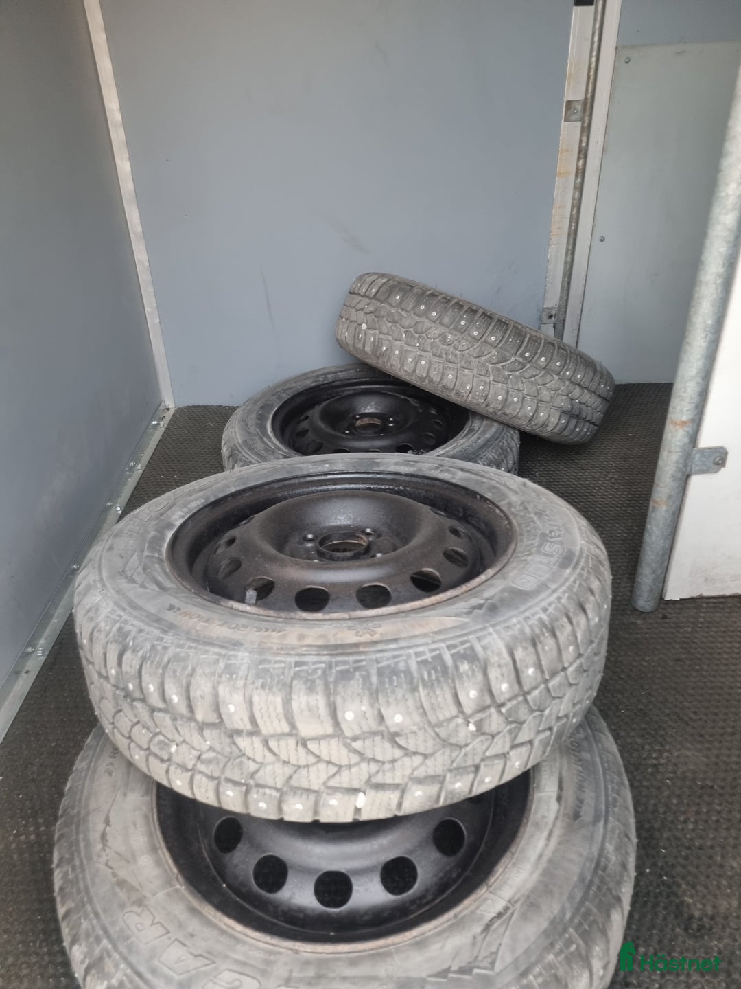 Hästtransporter  fordon & transport till salu: Ringostar nyrenoverad i Romakloster - Annons 6