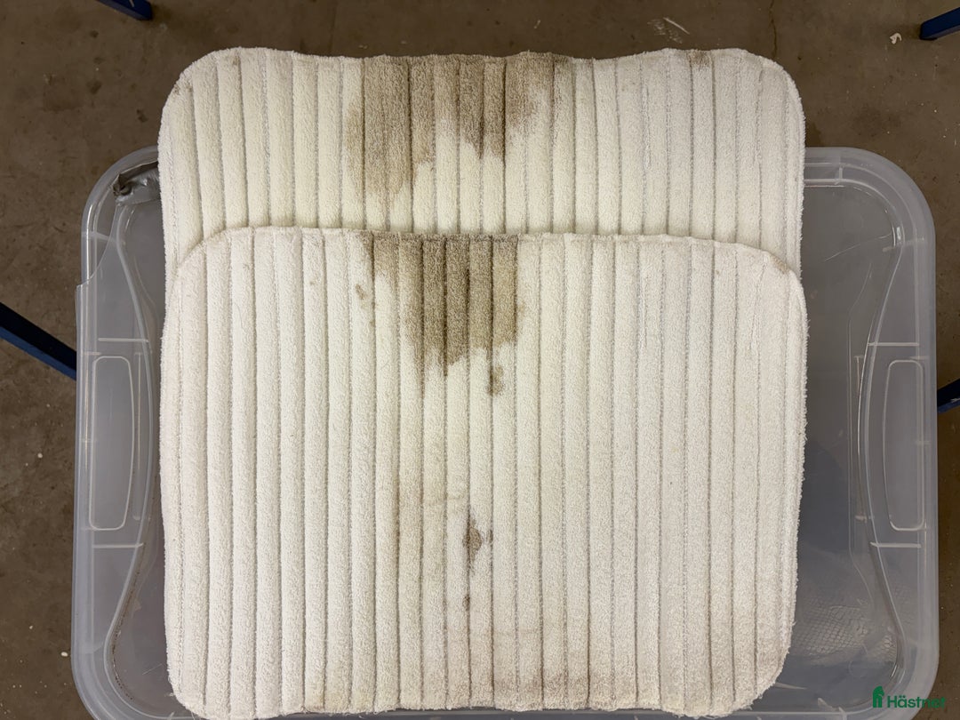 Benskydd hästutrustning till salu: Benpaddar från Eskadron och Mias i Täby - Annons 4