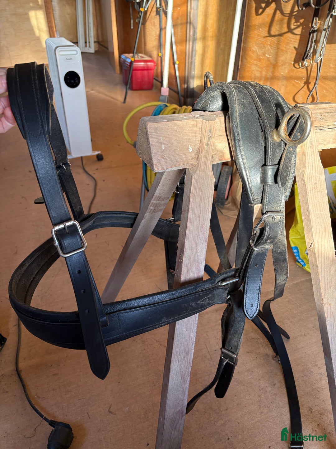 Körselar körning till salu: Bröstsele shetland i Vikbolandet - Annons 2