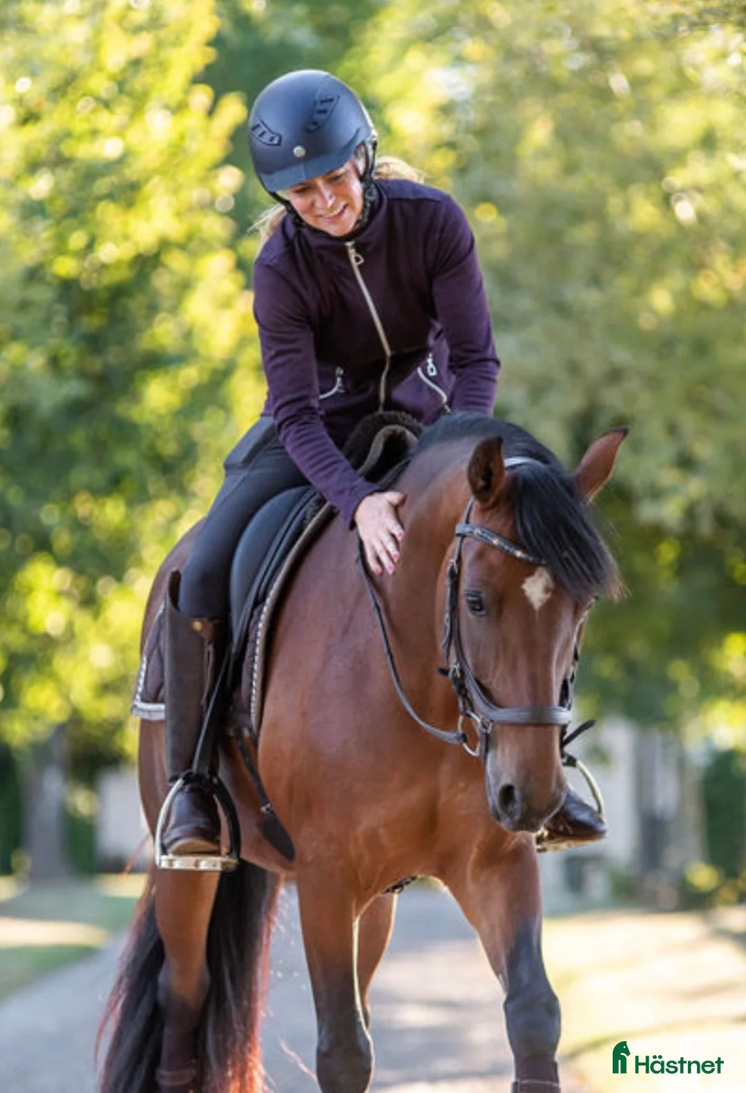 Dressyr hästar till salu: Lovande FEI-ponny i Lund - Annons 8