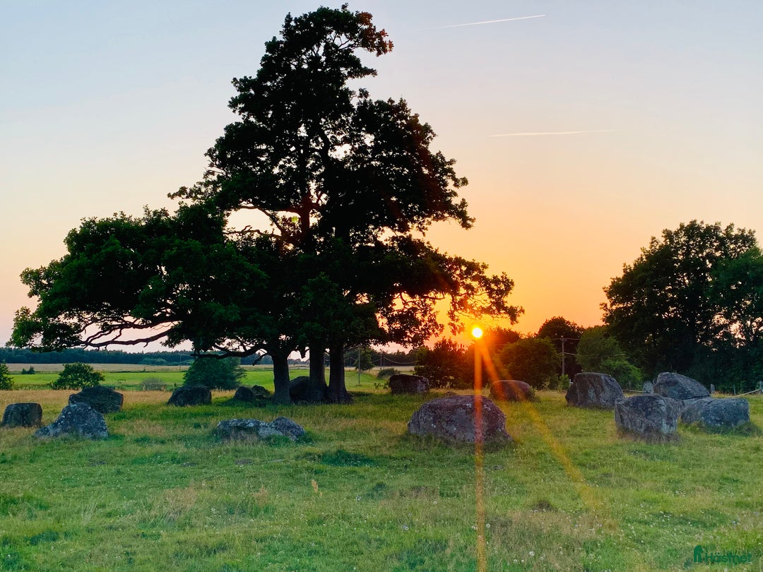  hästgårdar uthyres: Boxar/del av stall, 14 boxar i nordvästra Skåne i Össjö - Annons 12