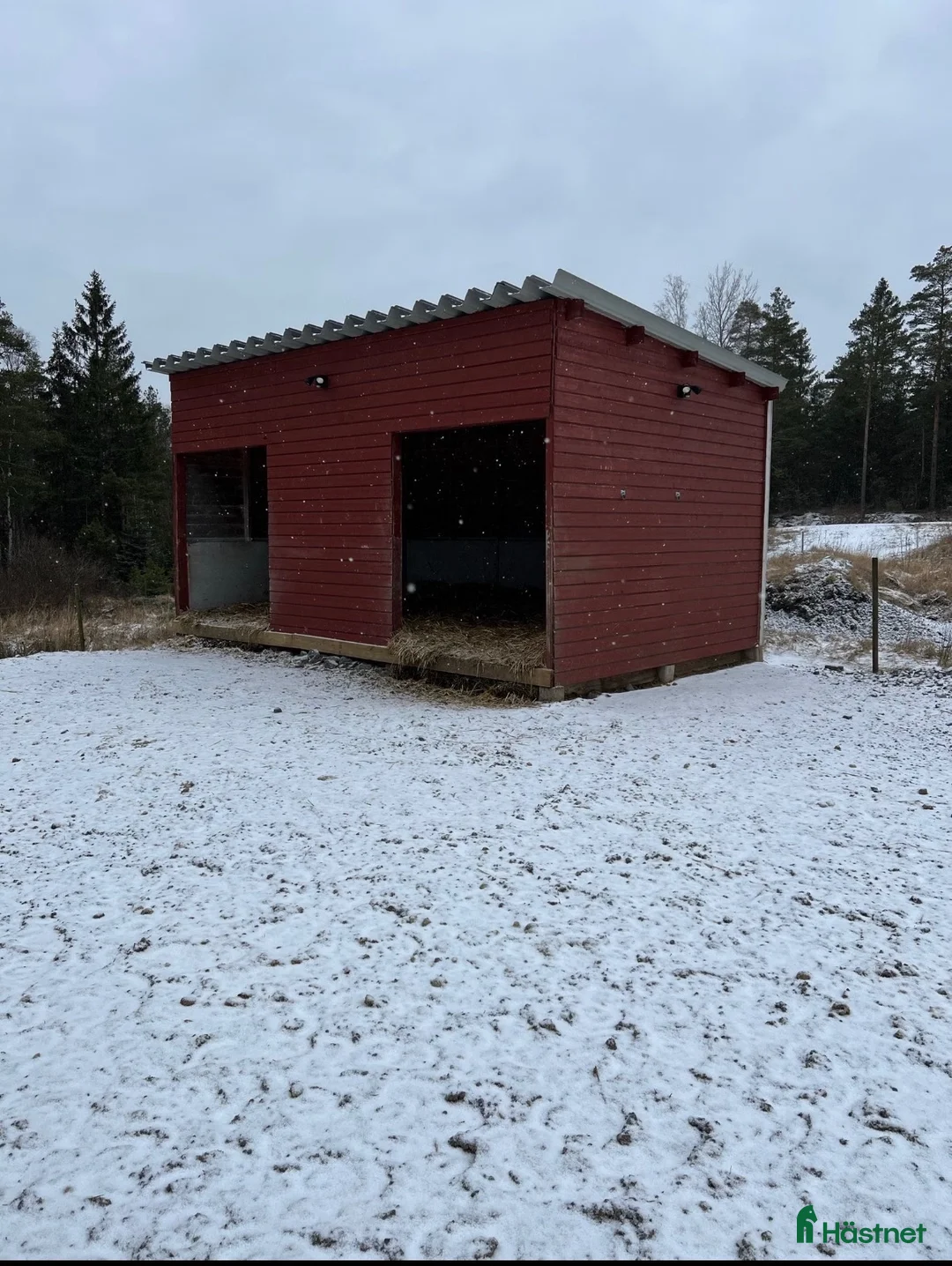 stallplats finnes: Lösdrift och stall finnes  - Annons 1