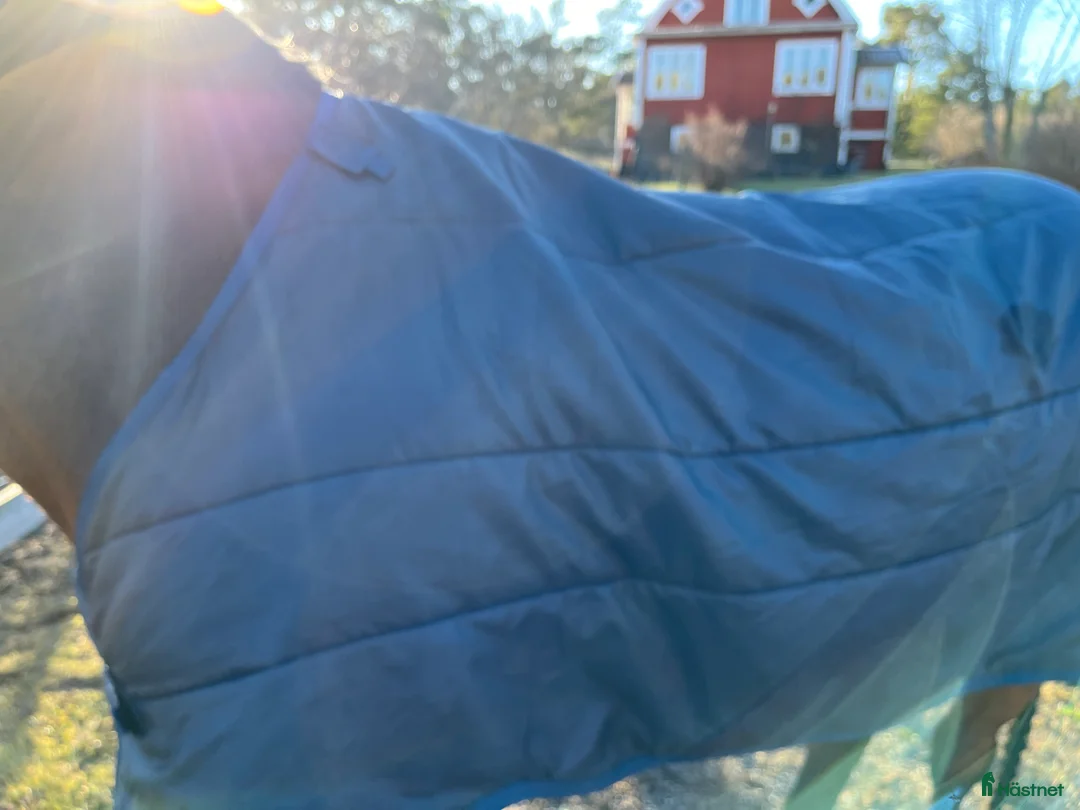 Täcken hästutrustning till salu: Horsewear Liner i Värmdö - Annons 2