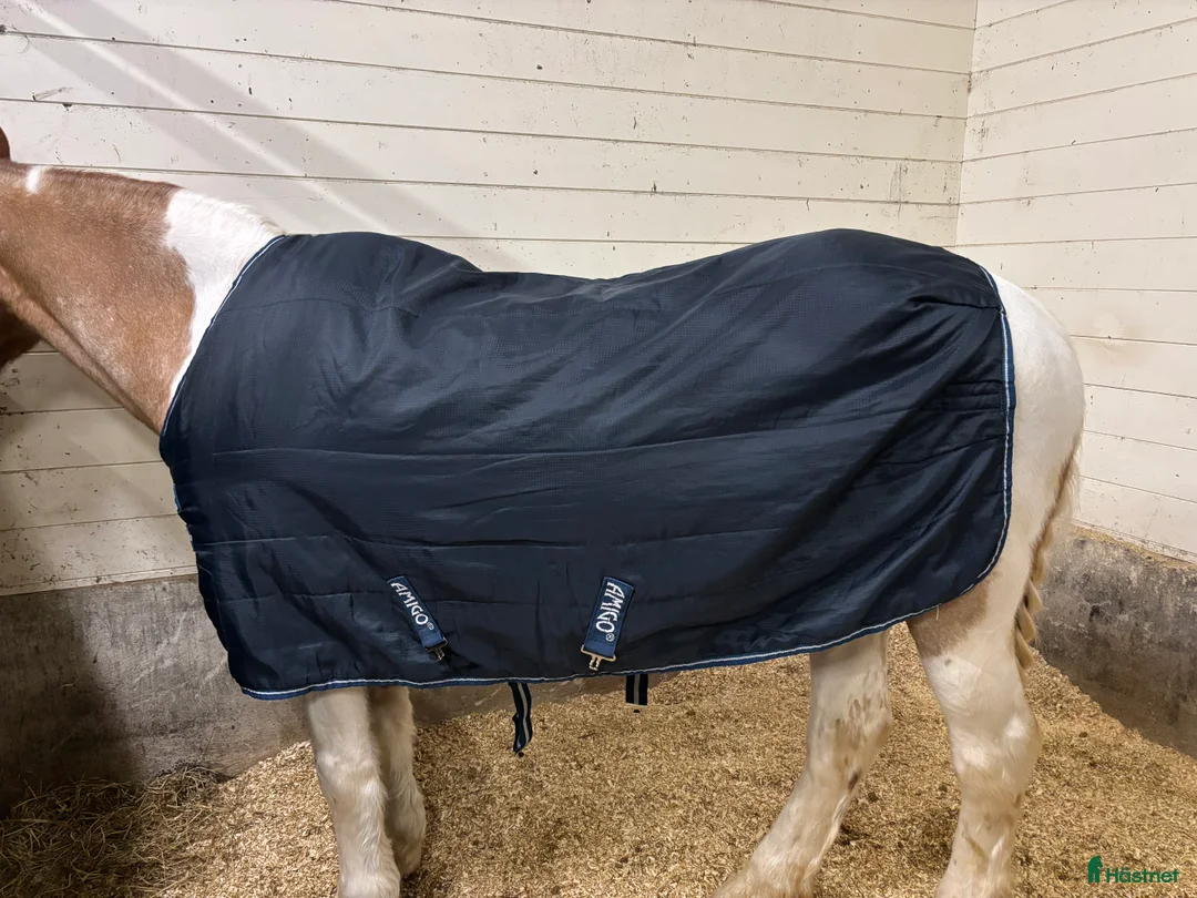 Täcken hästutrustning till salu: Horseware Amigo C-ponny i Oxelösund - Annons 2