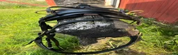 Körselar körning till salu: Körsele shettis  - Annons 5