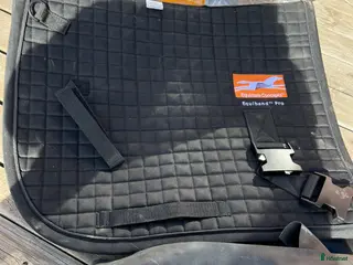 Schabrak & Vojlockar hästutrustning Equiband PRO - Annons 6