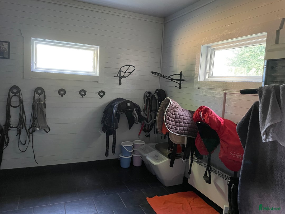  stallplats finnes: Två stallplatser uthyres i Tollarp - Annons 4