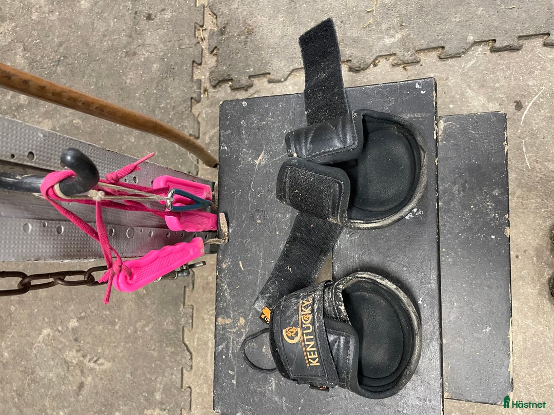 Benskydd hästutrustning till salu: Säljer bakskydd i Norrtälje - Annons 1