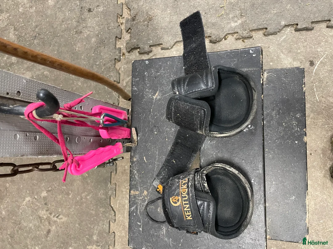 Benskydd hästutrustning till salu: Säljer bakskydd - Annons 1