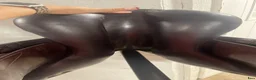 Sadlar hästutrustning till salu: Amerigo DJ Pinerolo 17.5” - Annons 8