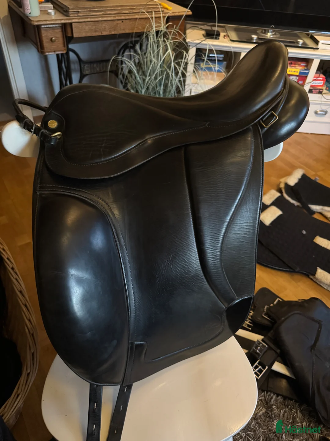 Sadlar hästutrustning till salu: Garri Sadel 17 tum vid. - Annons 1