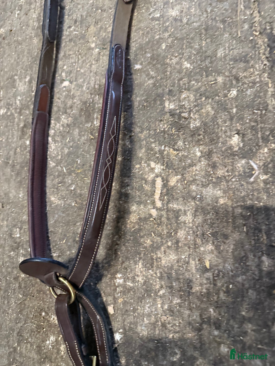 Sadeltillbehör hästutrustning till salu: Superfin Förbygel från Dyon! i Höllviken - Annons 2