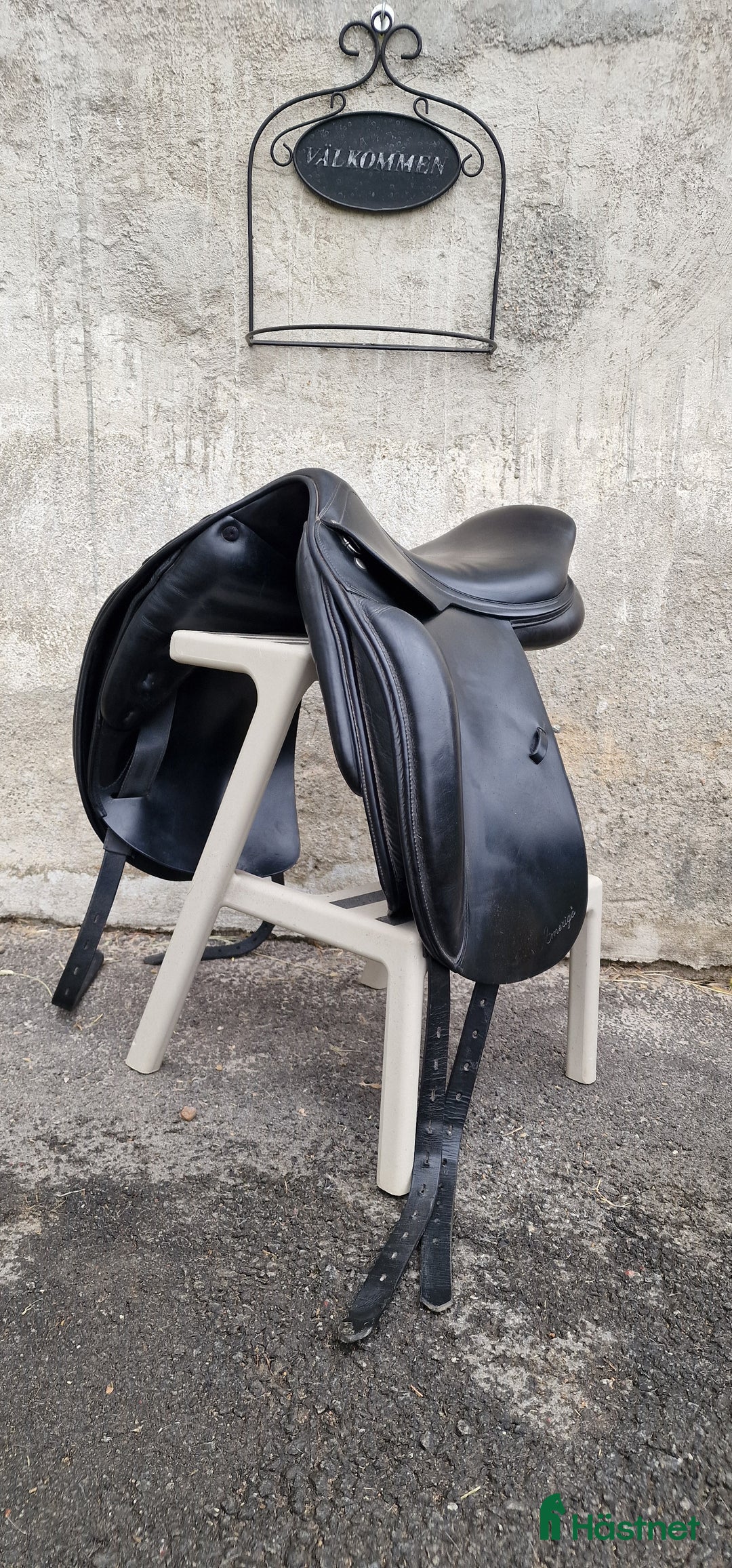 Sadlar hästutrustning till salu: Amerigo Alto i Matfors - Annons 3