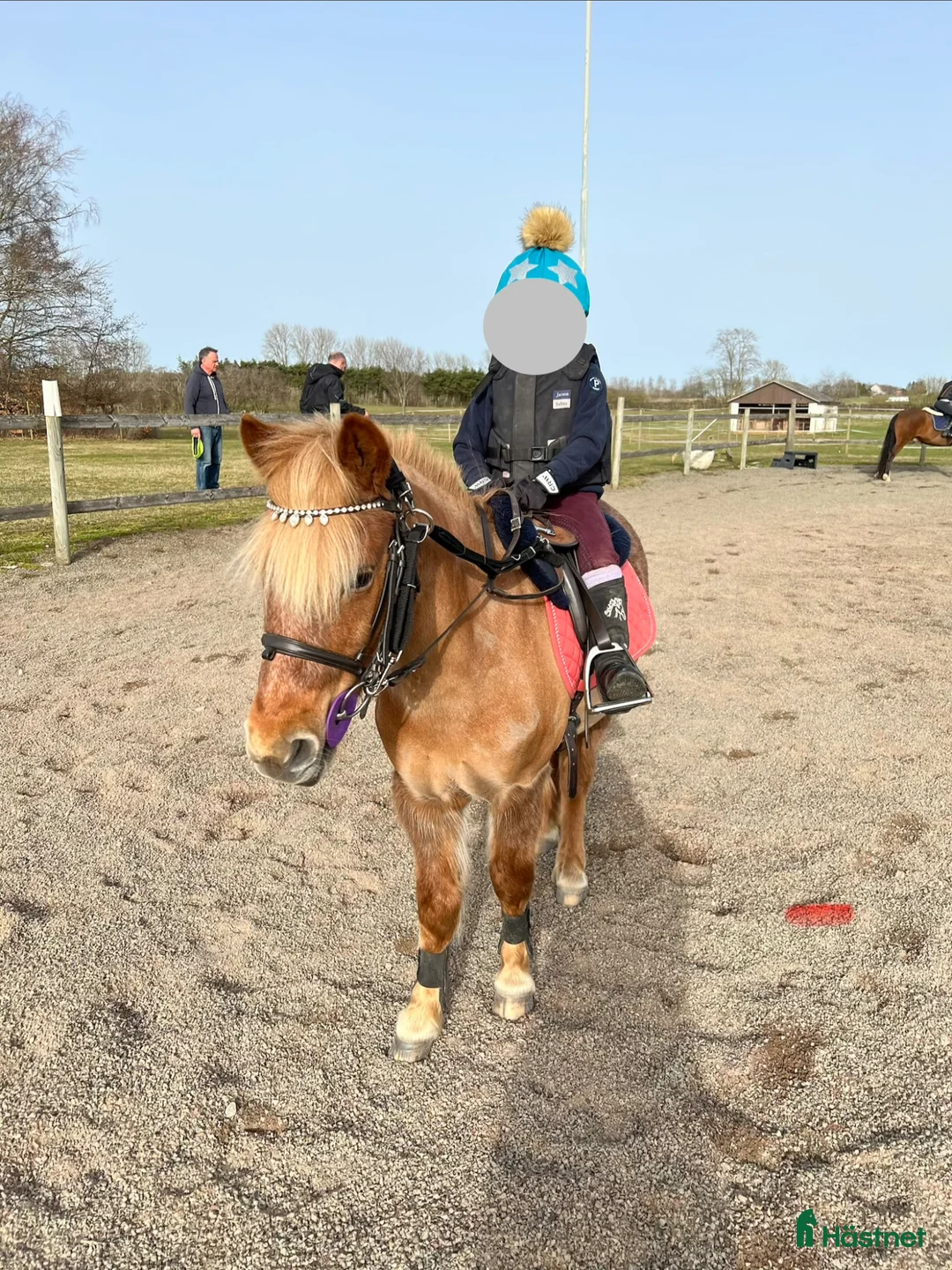 Allround hästar till salu: Underbar barnponny i Kristianstad - Annons 1