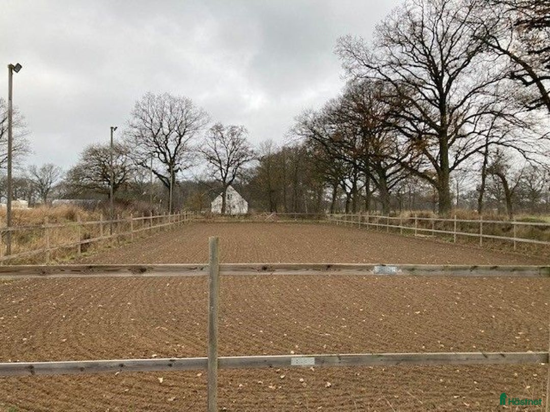  stallplats finnes: Stallplats med hög standard och mysig miljö i Påarp - Annons 3