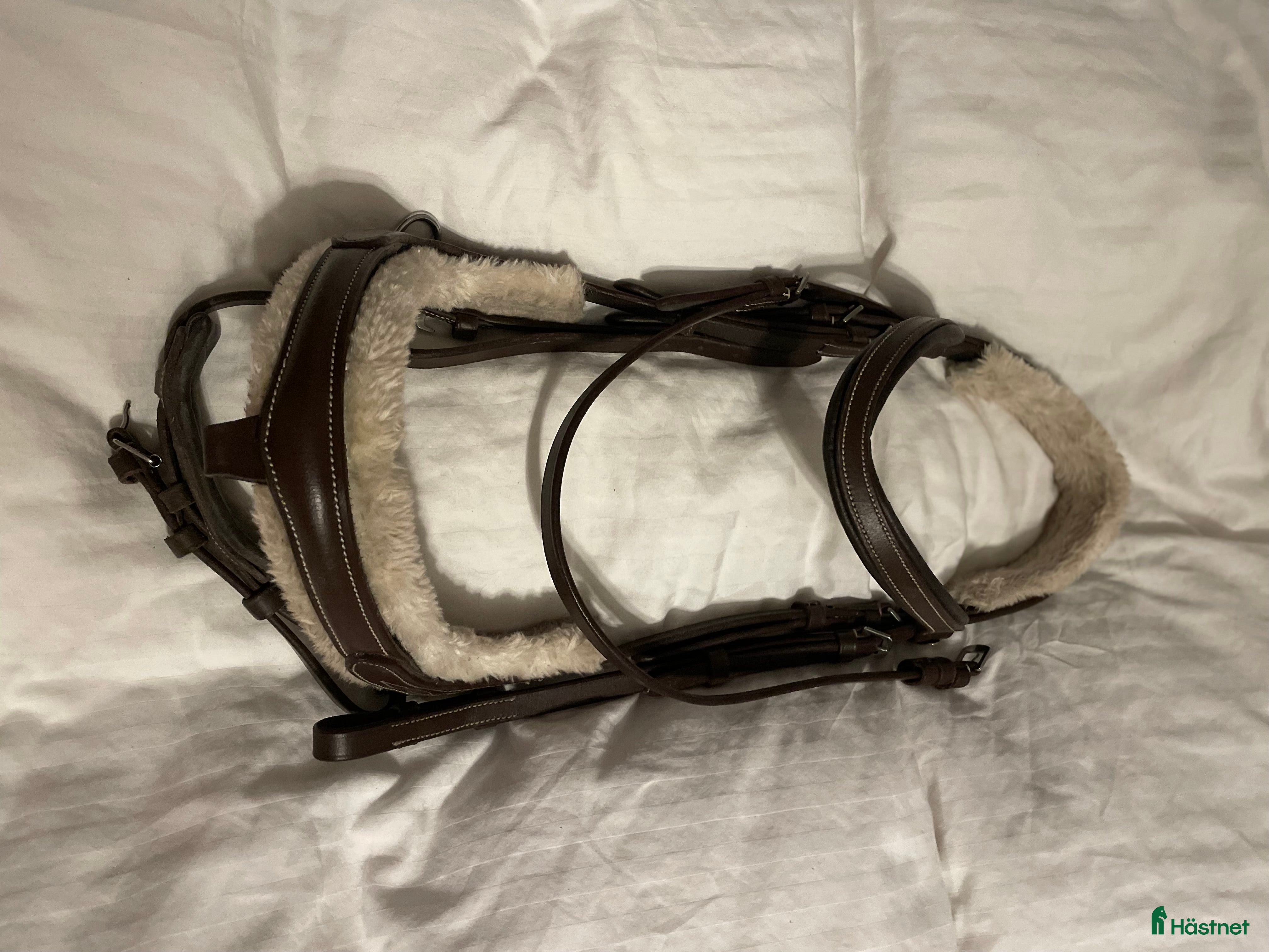 Träns hästutrustning till salu: Sängt pris!! Träns m tyglar  i Lunde - Annons 22