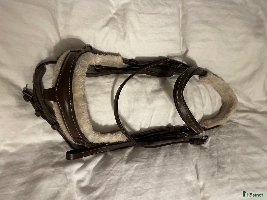 Träns hästutrustning till salu: Sängt pris!! Träns m tyglar  i Lunde - Annons 1