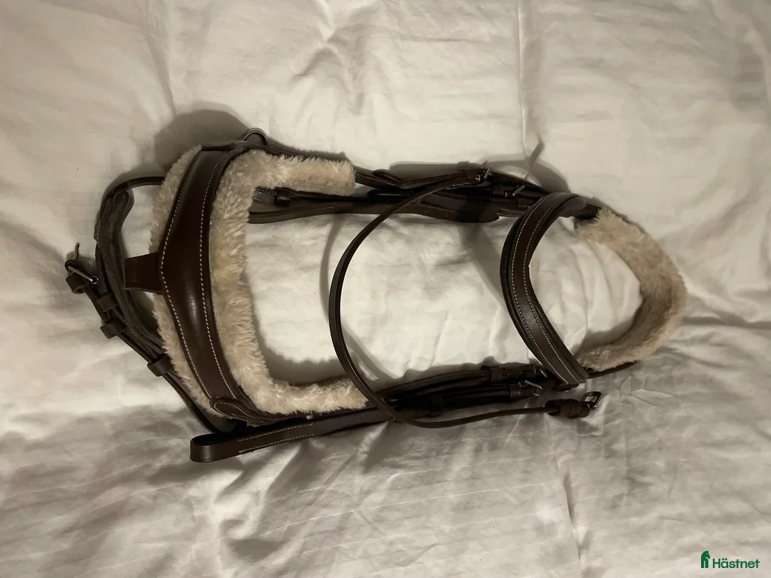 Träns hästutrustning till salu: Sängt pris!! Träns m tyglar  i Lunde - Annons 1