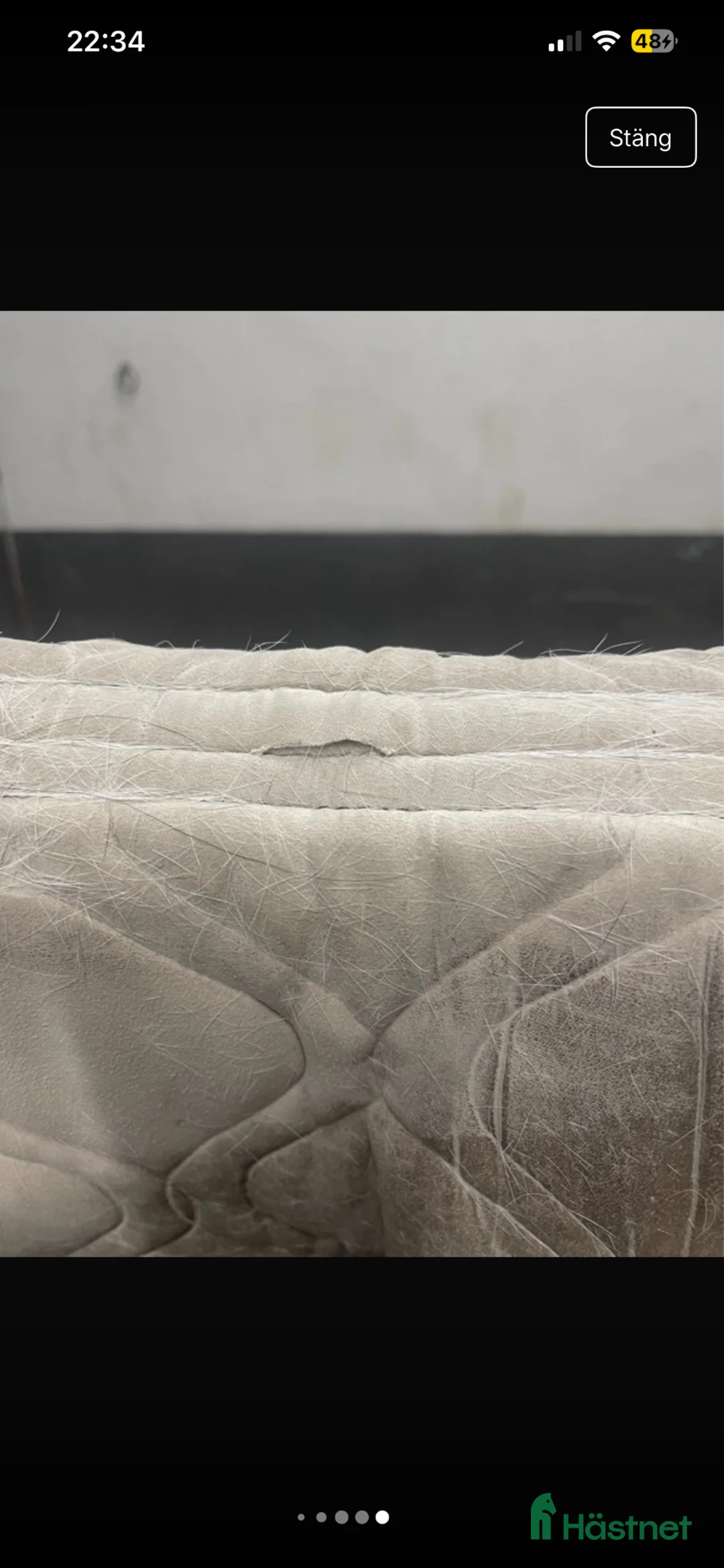 Schabrak & Vojlockar hästutrustning till salu: Vestrum schabrak  - Annons 5